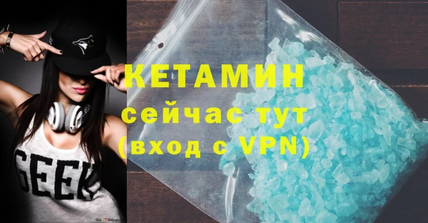 индика Пестово