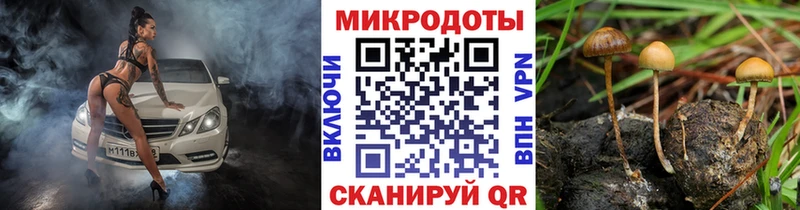 Галлюциногенные грибы Psilocybe Купить где Шлиссельбург